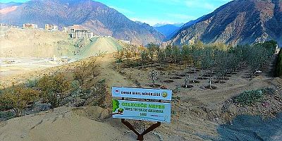 Cumhurbaşkanı, istediği araziyi 'ormanlık alan' olmaktan çıkarabilecek