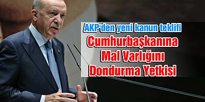 Cumhurbaşkanına Mal Varlığını Dondurma Yetkisi