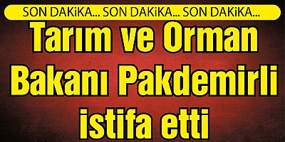 Cumhurbaşkanlığı Kabinesi'nde yapılan değişiklikler