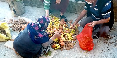 Dağıtılan Patates ve Soğanlar Çöpe Gitti