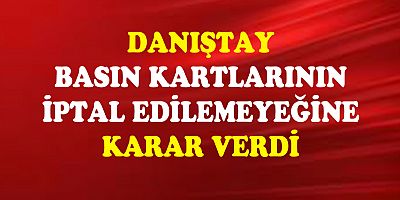 Danıştay 