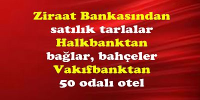 Devlet bankaları gayrimenkul zengini oldu