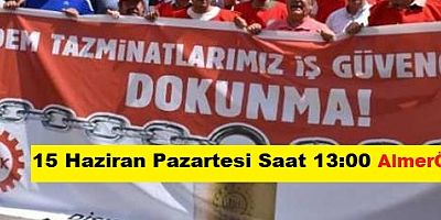 Disk'ten 15-16 Haziran İşçi Direnişi Basın Açıklaması 