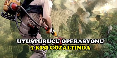 Diyarbakır'da uyuşturucu operasyonu