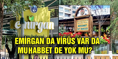 EMİRGAN ÇAY BAHÇESİN DE VİRÜS VAR MUHABBET DE YOK!