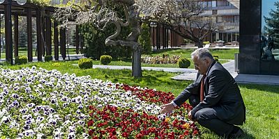 ERCİYES ETEKLERİNDE BAŞARILI OLUNDU, ŞEHİR MERKEZİNDE HAYATA GEÇİRİLDİ