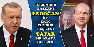 Erdoğan ile Tatar Ankara da Bir Araya Gelecek