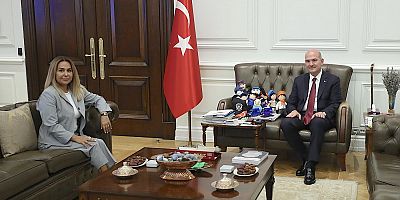 Eski Milletvekili Soylu'ya danışman oldu