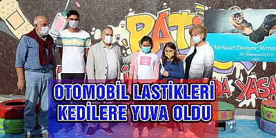 ESKİ OTOMOBİL LASTİKLERİ KEDİLERE YUVA OLDU