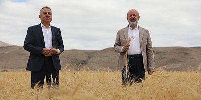 GACER BUĞDAYININ HASATI YAPILDI