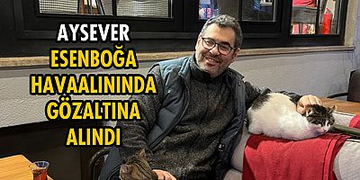 Gazeteci Enver Aysever gözaltına alındı!