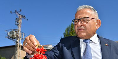 GİLABURU'DA HASAT BAŞLADI