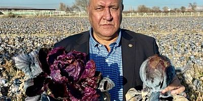 Gürer: “2025 yılı üretim kaybı rafa zam olarak yansıdı”