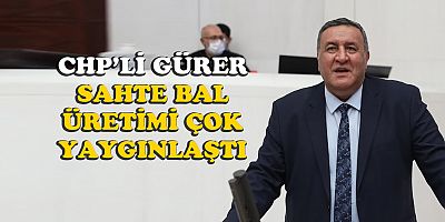 Gürer: “60 lira maliyeti olan bal 30 liraya nasıl satılır?”