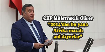 Gürer “Afrika’yı bırak Türkiye’ye bak”