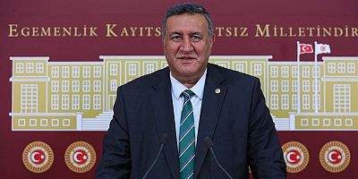 Gürer: “AKP, kamu mallarını talan etti”   