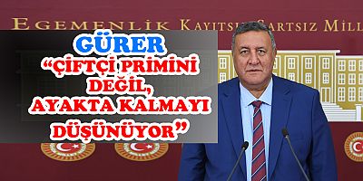 Gürer: “BAĞ-KUR prim borcu olan çiftçiye kredi engeli kaldırılsın”