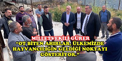 Gürer: “Boşalan ahırlarda otlar bitiyor” 