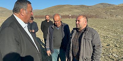 Gürer: “Çavdar ve buğday tarlalarında kuraklık  verim kaybına neden olacak”
