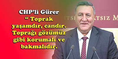 Gürer: “Çölleşme ve kuraklığın   etkisi artıyor”