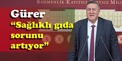 Gürer: “Dünya gıdada yapay et ve GDO’lu ürünler ile  bir başka sürece evriliyor”