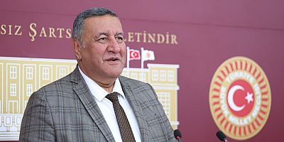 Gürer: “Dünyanın başı pestisitle belada”