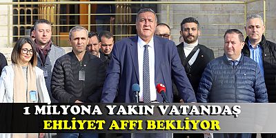 Gürer: “Ehliyet affı şart oldu”