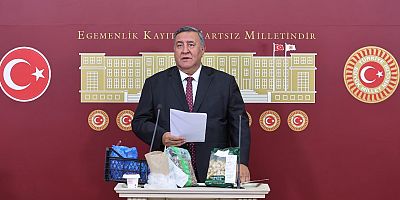 Gürer: “Emekli maaşı geçinmeye değil, kiraya yetmiyor”