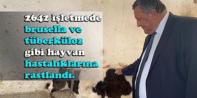 Gürer” Hayvan hastalığı deyip geçmeyin size de bulaşır”
