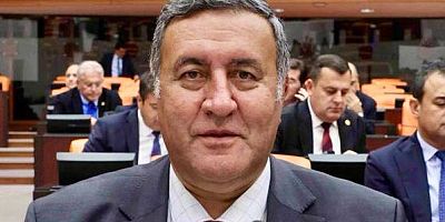 Gürer: “Hayvancılık olan her köyde bir veteriner bulunmalıdır”