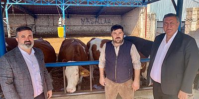 Gürer: “İktidar süt ineğini kesime gönderenin sesini neden duymuyor?”