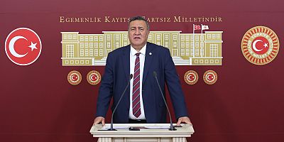 Gürer’in teklifine Cumhurbaşkanı 10 ay sonra ses verdi
