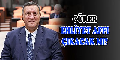 Gürer: “İnsan canına kast etmeyenler için ehliyet affı çıkmalıdır”