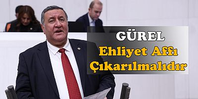 Gürer: “İnsan canına kıyıp yaralamamış olanlar için ehliyet affı çıkarılmalıdır”   