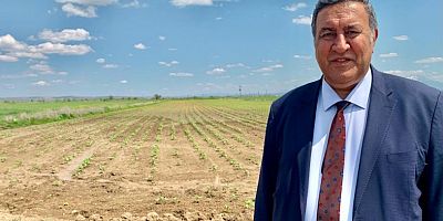 Gürer: “Kaybettiğimiz tarım alanı İsrail’den büyük”