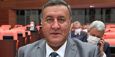 Gürer: “Kısa süreli cezalarda adli kayıt silme 2 yıla indirilmelidir”