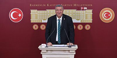 Gürer: “Kontrol altında denen şap hastalığı İstanbul’da da patladı”
