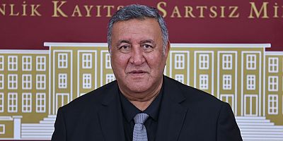 Gürer: “Limon gibi üretici de tüketici de sıkılıyor”