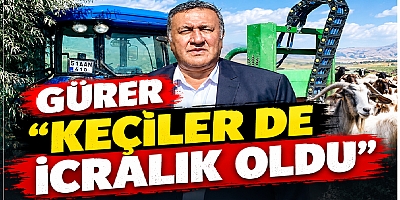GÜRER: “MALTA KEÇİSİ, KIL KEÇİSİ İCRA İLE SATIŞTA”