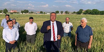 Gürer: “mazot hesabı ile buğday taban fiyatında çiftçi zararda”