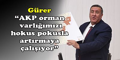 Gürer: “Orman alanları artmıyor, azalıyor”   
