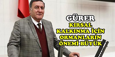 Gürer: “Orman ürünlerinin  milli gelirimizdeki payı  yüzde 1”