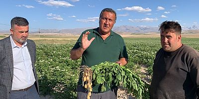 Gürer: “Patates markette 3 TL, üretici ise kaygılı”