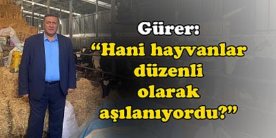 Gürer:  “Şap ile süt sorunu artacak”