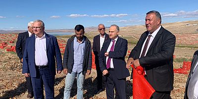 Gürer: “Soğan tarlada 60 kuruşa bile alıcı bulmuyor”