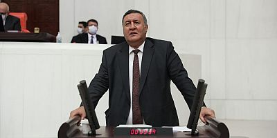 Gürer: “Tarihin  soyulması seyredilemez”