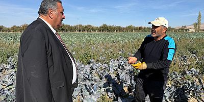 Gürer: “TARSİM tüm çiftçileri kapsayacak şekilde yeniden yapılandırılmalı”
