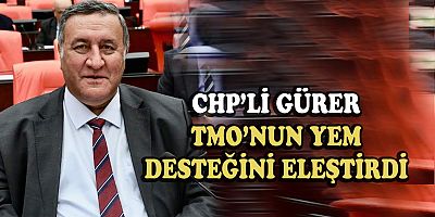 Gürer: “TMO’nun destek diye verdiği   yemle inek değil ancak horoz beslenir”
