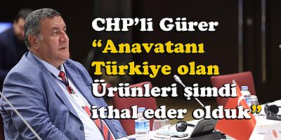 Gürer:  “Ülkeye yazık ediyorsunuz”