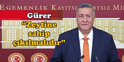 Gürer: “Vahşi madenciliğin önü açılıyor”